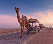 Rann of Kutch