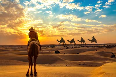 Desert Safari in Jaisalmer